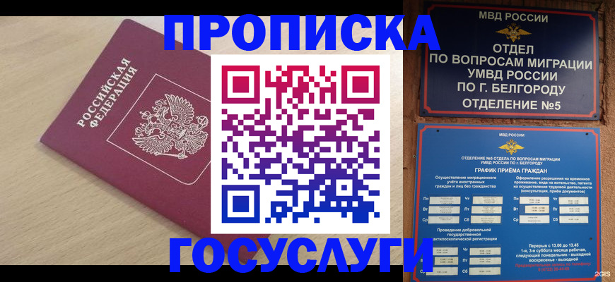 прописка законно в Ряжске